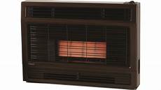 Rinnai Heater